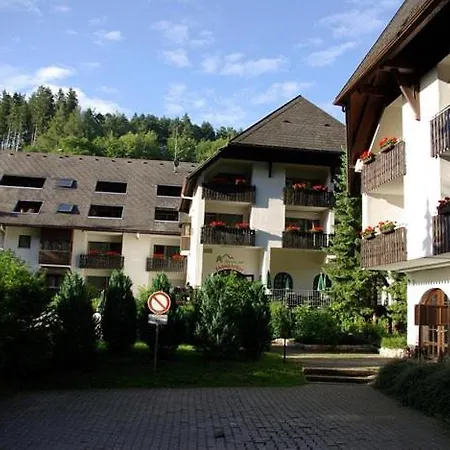 Triberg Falls Hideaway شقة تيبرغ