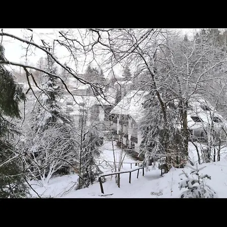 شقة Triberg Falls Hideaway *